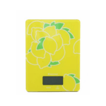 Kitchen Scale colorful Y/G/R/O