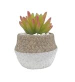 Artificial plant JO-165