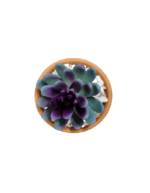 Artificial Plant HL-015 - Image 2