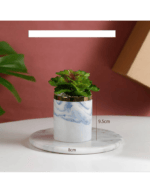 Artificial plant MPH0017D - Image 2