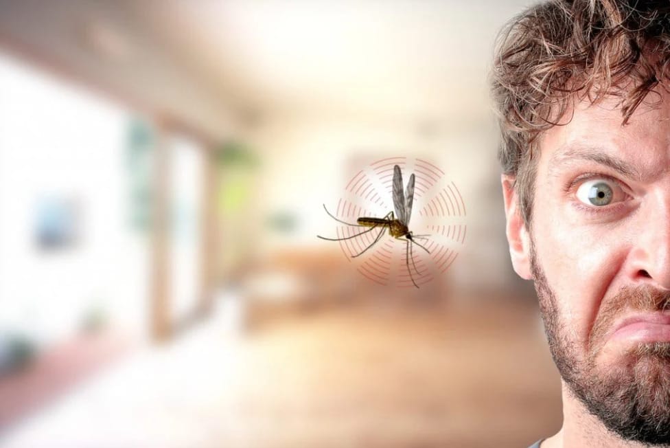 mosquito killer