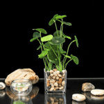 Artificial plant BJ1158L